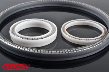 PtFE Gwanwyn Energized Rotari