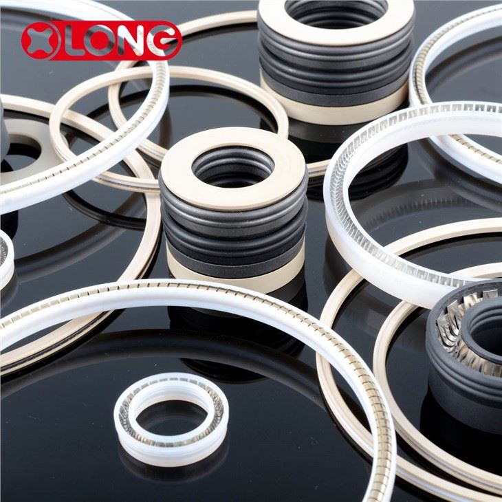 PTFE Lip Seals Ar gyfer Tanwydd a Nwy Nozzle