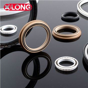 Glass Fiber wedi'i Lenwi PTFE Gwanwyn Energized Lip Seal