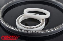 Sêl PTFE Egniol Gwanwyn Perfformiad Uchel