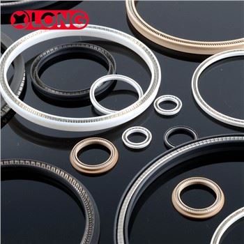 Sêl Radial Bôn Falf PTFE Pwysedd Uchel